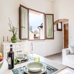 Rent 5 bedroom apartment of 50 m² in Florence