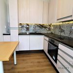 Rent 3 bedroom apartment of 52 m² in Brno