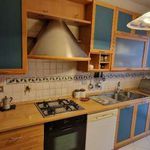 Rent 4 bedroom apartment of 95 m² in Bologna