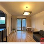 Wynajmij 1 sypialnię apartament z 33 m² w Czarny Dunajec