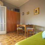 Affitto 1 camera appartamento di 41 m² in Milano