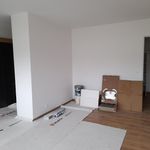 Rent 1 bedroom apartment of 33 m² in Bordeaux