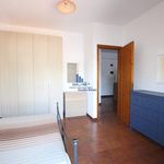 Affitto 2 camera appartamento di 60 m² in Mascalucia