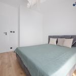 Rent 2 bedroom apartment of 42 m² in Bielsko-biała