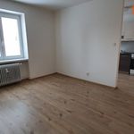 Rent 2 bedroom apartment of 36 m² in Havířov
