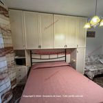 Affitto 2 camera appartamento di 50 m² in Cefalù