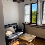 Rent 1 bedroom apartment of 45 m² in Trier