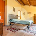 Rent 3 bedroom apartment of 110 m² in Ravenna
