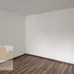 Pronajměte si 1 ložnic/e byt o rozloze 41 m² v Miřetice