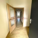 Rent 4 bedroom apartment of 102 m² in Zichovec