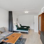 Miete 2 Schlafzimmer wohnung von 75 m² in Mainz