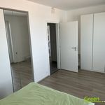 Rent 2 bedroom apartment of 56 m² in Plzeň