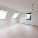 Huur 3 slaapkamer huis van 298 m² in Zulte