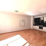 Rent 3 bedroom apartment of 73 m² in Ebreichsdorf