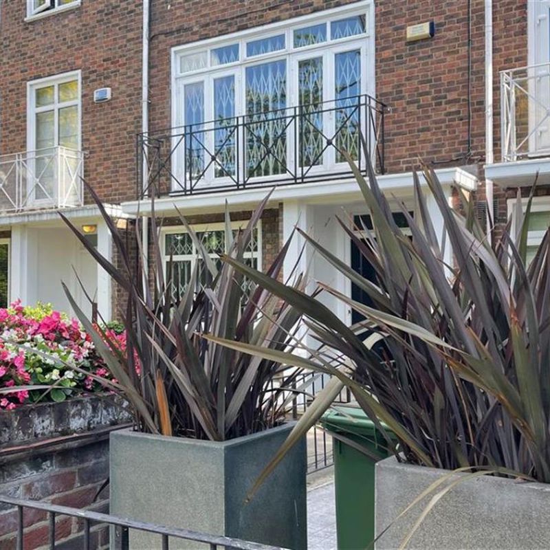 Homely House In St Johns Wood - Ready To Be Rented! South Hampstead