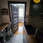Rent 2 bedroom apartment of 42 m² in Třinec