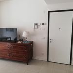 Rent 1 bedroom apartment of 50 m² in Roma
