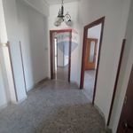 Rent 4 bedroom apartment of 110 m² in Pozzuoli