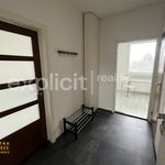 Rent 1 bedroom apartment of 38 m² in Zlín