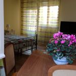 Rent 3 bedroom student apartment of 90 m² in Roma