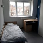 Rent 1 bedroom apartment of 20 m² in Oyonnax