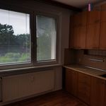 Rent 1 bedroom apartment of 34 m² in Zlín