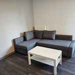 Wynajmij 1 sypialnię apartament z 31 m² w Katowice