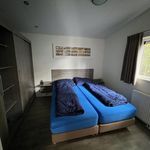 Rent 4 bedroom house in Hellevoetsluis