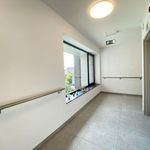 Rent 1 bedroom apartment in Rotselaar