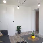 Studio o powierzchni 30 m² w Zielona Góra