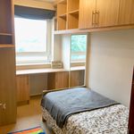 Rent a room in City of Westminster