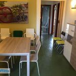 Affitto 4 camera appartamento di 110 m² in Porto Cesareo