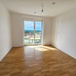 Miete 4 Schlafzimmer haus von 110 m² in Ybbs an der Donau