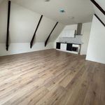 Rent 1 bedroom apartment of 42 m² in Assen
