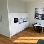 Rent 3 bedroom apartment of 51 m² in Rostock