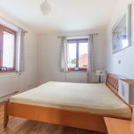 Rent 1 bedroom apartment of 58 m² in Velké Přílepy