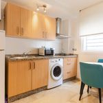 Rent 1 bedroom apartment of 30 m² in Málaga