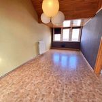Rent 1 bedroom house of 300 m² in Erquelinnes