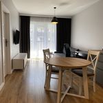 Rent 1 bedroom apartment of 37 m² in Wrocław