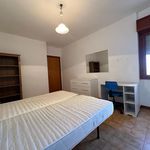 Affitto 3 camera appartamento di 110 m² in Roma