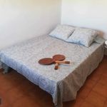 Rent 3 bedroom apartment in Valleseco