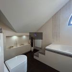 Rent 1 bedroom house of 260 m² in Nová Role