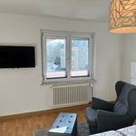 Great, beautiful suite in Biberach an der Riß