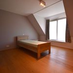 Rent 2 bedroom apartment in Ruiselede