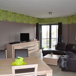 Rent 2 bedroom apartment in Sint-Gillis-Waas