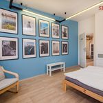 Rent 1 bedroom apartment of 16 m² in Praha