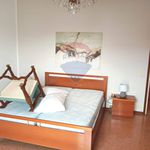 Rent 2 bedroom apartment of 90 m² in Bergamo