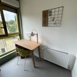 Rent a room of 29 m² in Les Loges-en-Josas