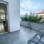 Rent 3 bedroom apartment of 150 m² in City of Zagreb
