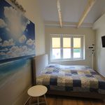 Miete 2 Schlafzimmer wohnung von 40 m² in Rostock